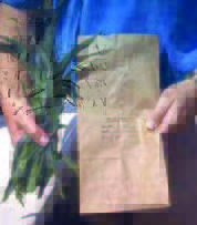 Best Practices for Tissue Testing